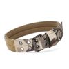 Super strong large dog collar with D-Ring & Buckle Collars Medium sized dog Golden haired horse dog Fierce dog collar